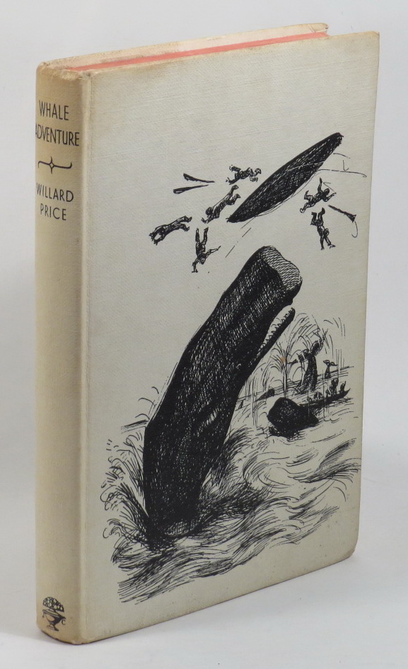Image for Whale Adventure