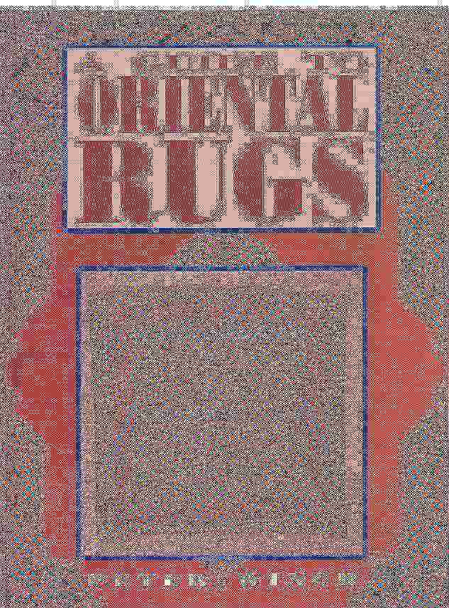 Image for A Guide To Oriental Rugs