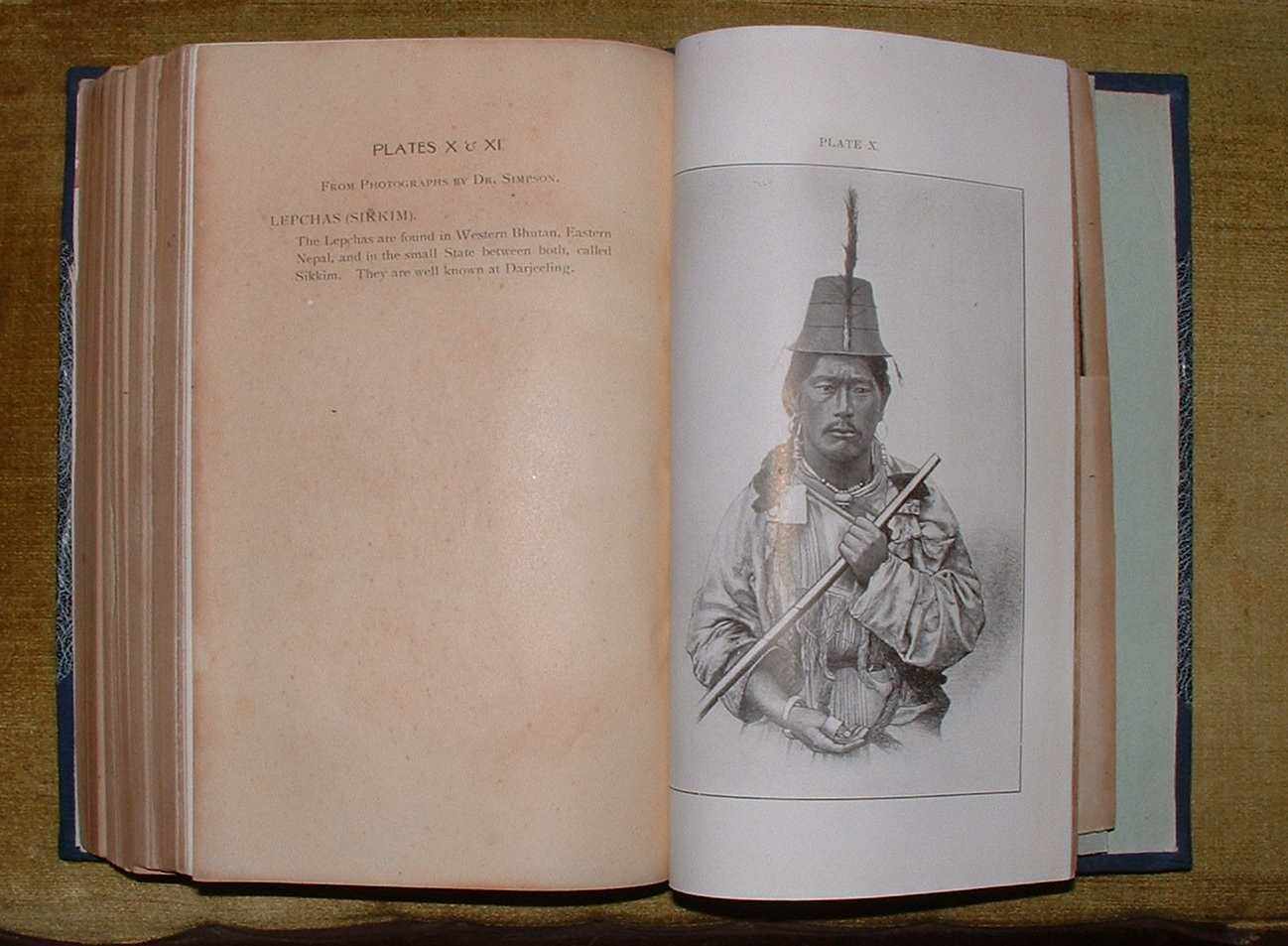 Image for The People of India