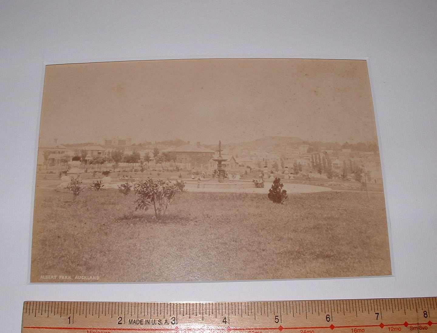 Image for Photograph of Albert Park, Auckland