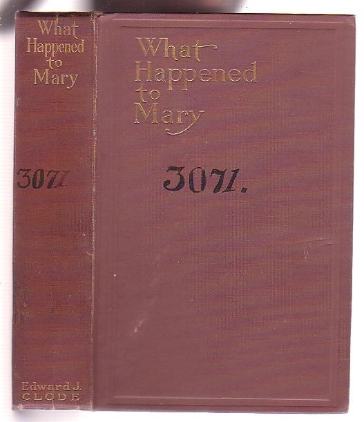 Image for What Happened to Mary: A Novelization from the Play and the Stories Appearing in the Ladies' World