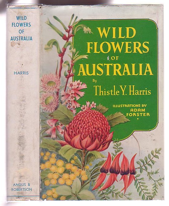 Wild Flowers of Australia Image for Wild Flowers of Australia