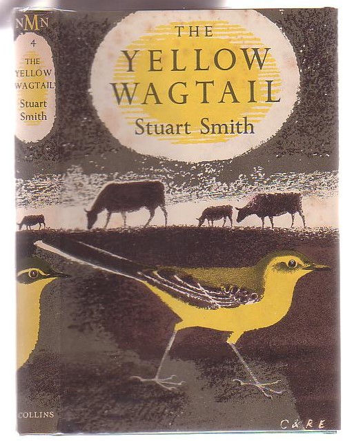 Image for The Yellow Wagtail