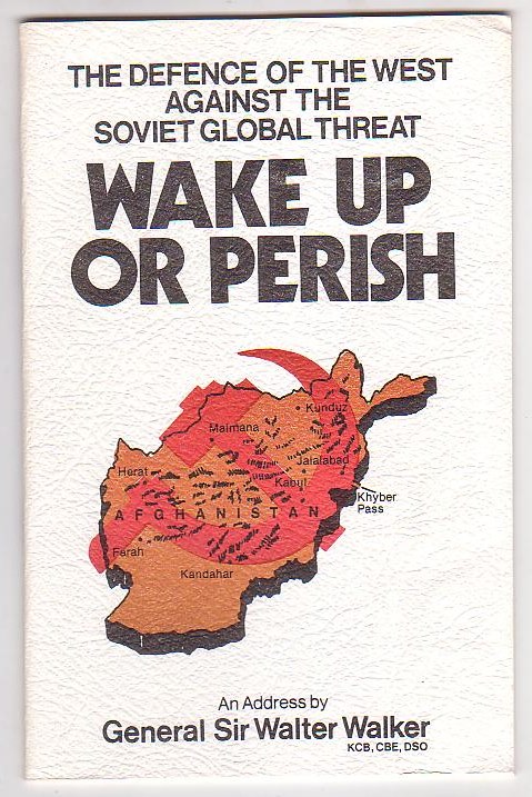 Image for Wake Up or Perish: The Defence of the West Against the Soviet Global Threat