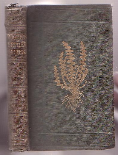 Image for The Handbook of British Ferns: being Descriptions, with Engravings of the Species and their Varieties, together with Instructions for their Cultivation