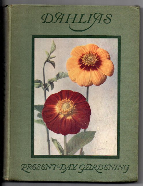 Image for Dahlias