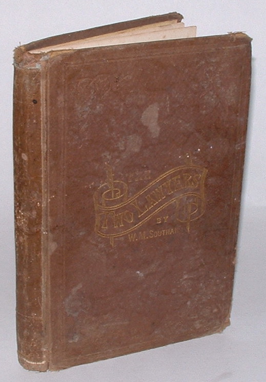 Image for The Two Lawyers: A Novel