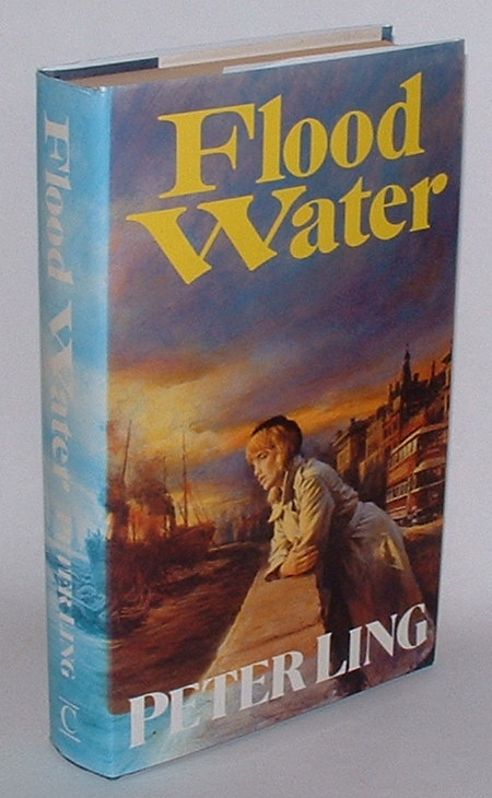 Image for Flood Water