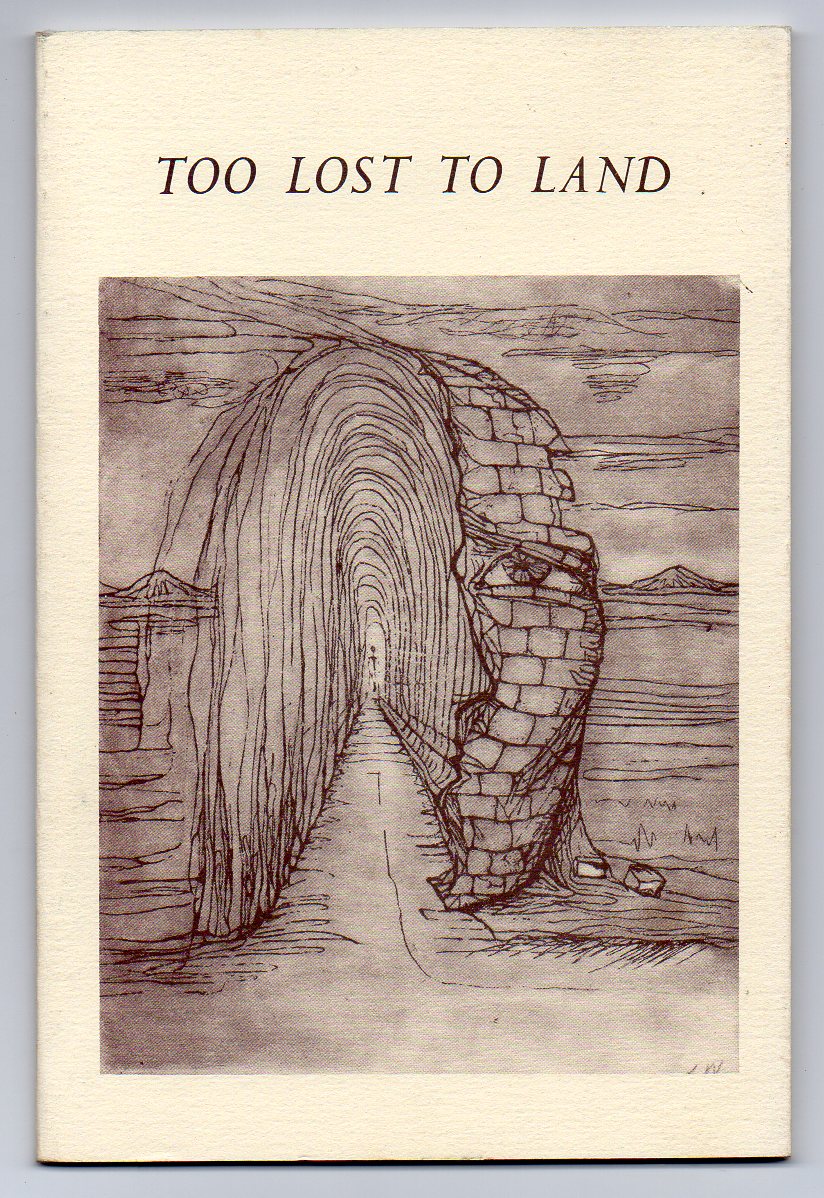 Image for Too Lost To Land
