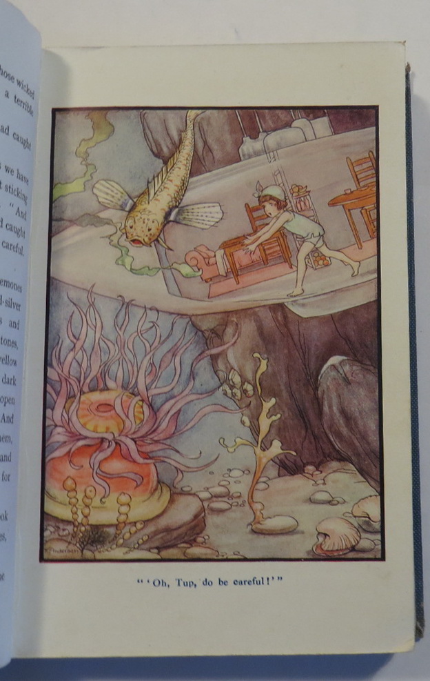 Image for The Singing Fish