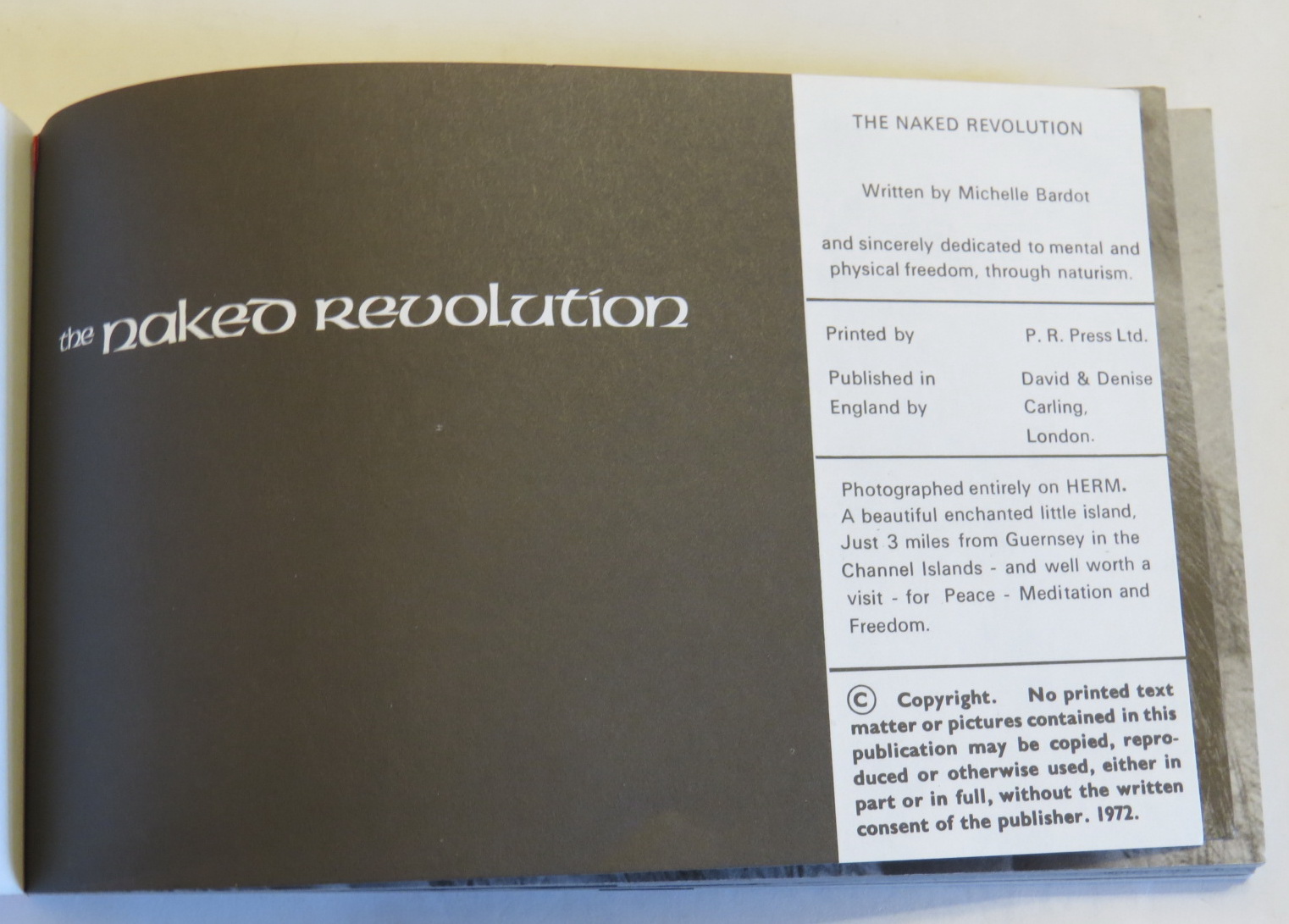 Image for The Naked Revolution