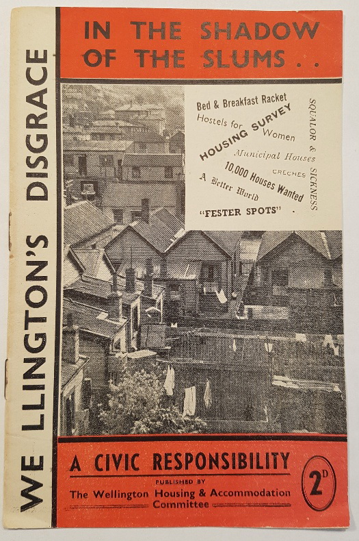 Image for In the Shadow of the Slums. . . A Civic Responsibility - Wellington's Disgrace