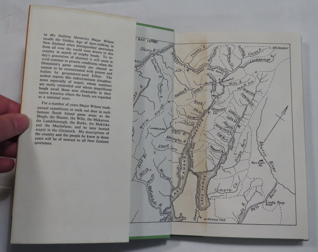 Image for My Stalking Memories