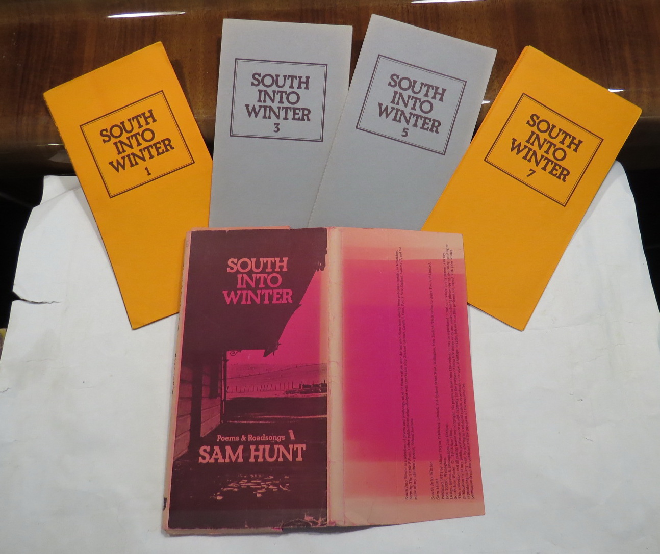 Image for South into Winter - Poems & Roadsongs