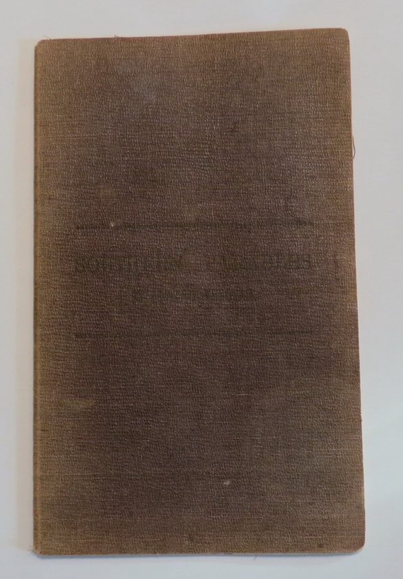 Image for Southern Parables