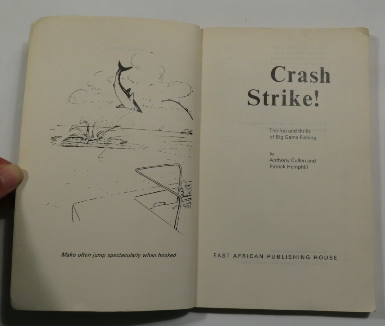 Image for Crash Strike!