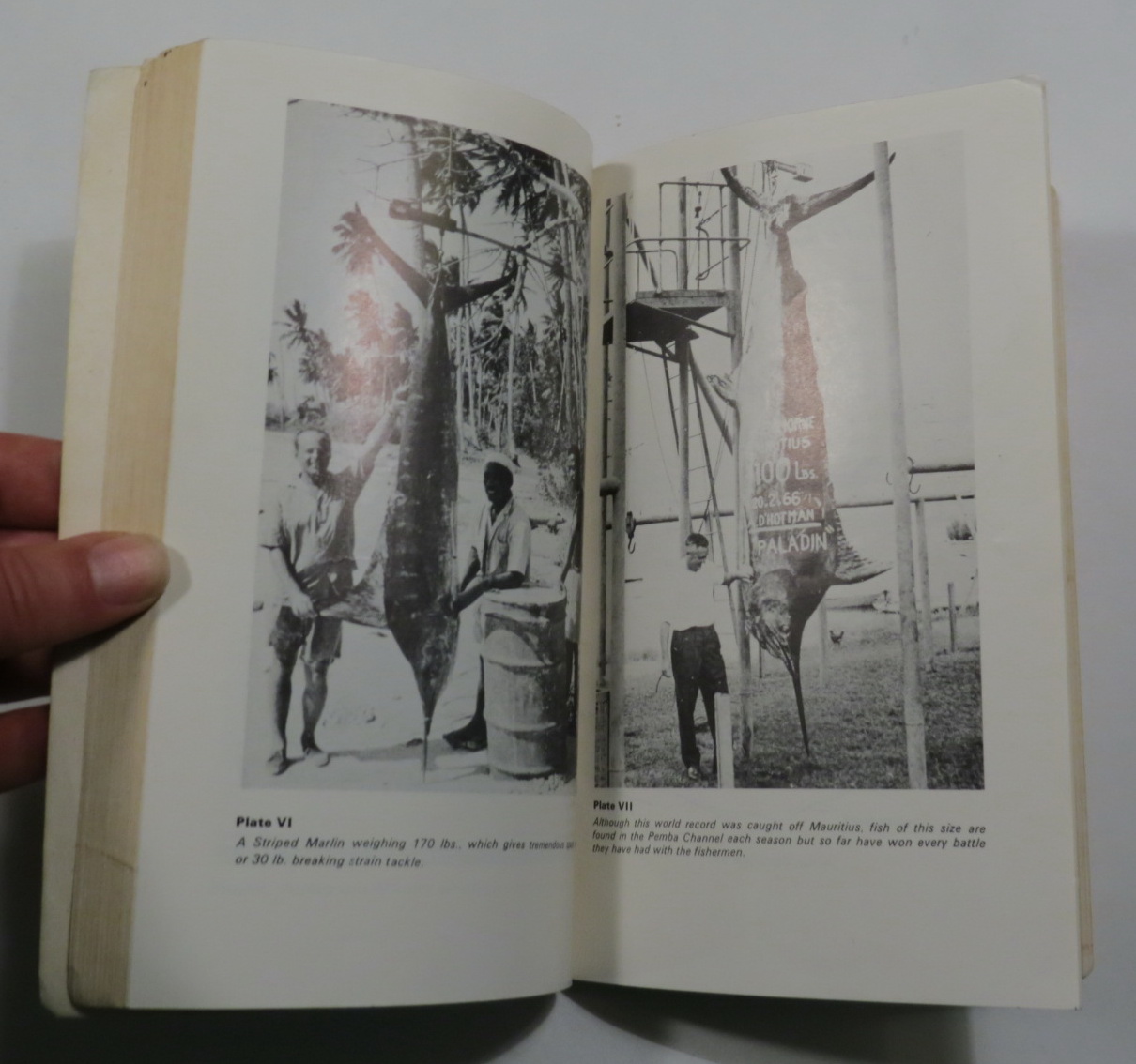 Image for Crash Strike!