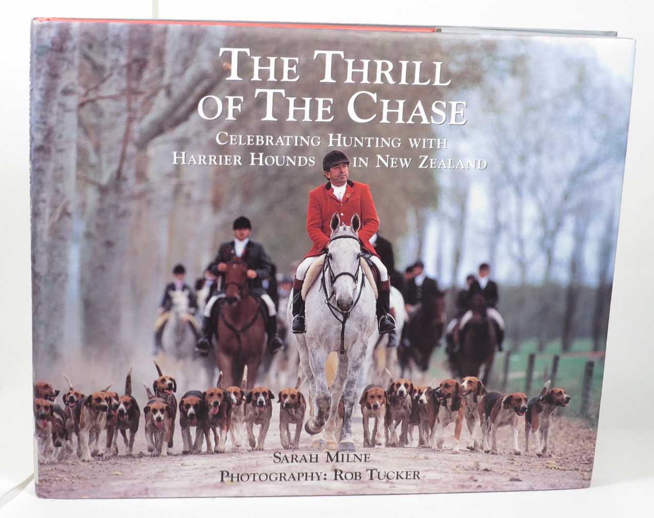Image for The Thrill of the Chase: Celebrating Hunting with Harrier Hounds in New Zealand