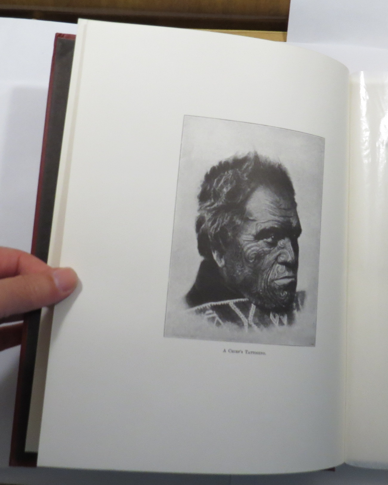 Moko; or Maori Tattooing