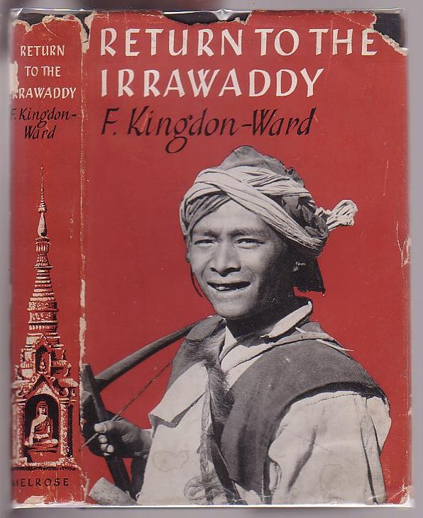 Image for Return to the Irrawaddy