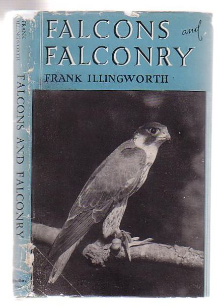 Image for Falcons and Falconry
