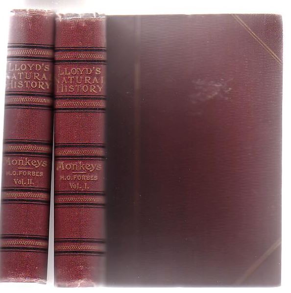 Image for A Hand-Book To The Primates (Two Volumes)