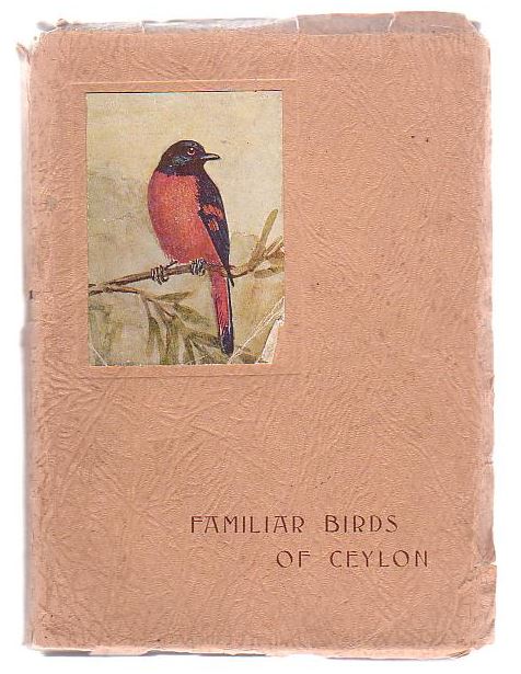 Image for Familiar Birds Of Ceylon