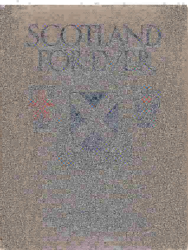 Image for Scotland Forever A Gift-Book Of The Scottish Regiments
